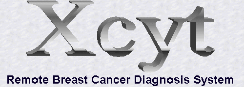 welcome to Xcyt