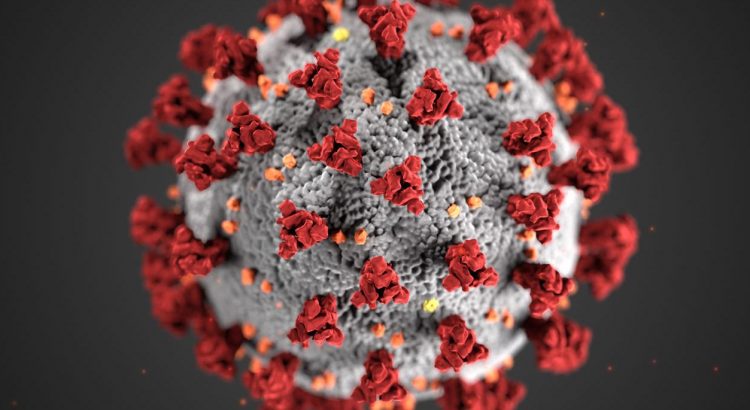 A picture of the COVID-19 virus