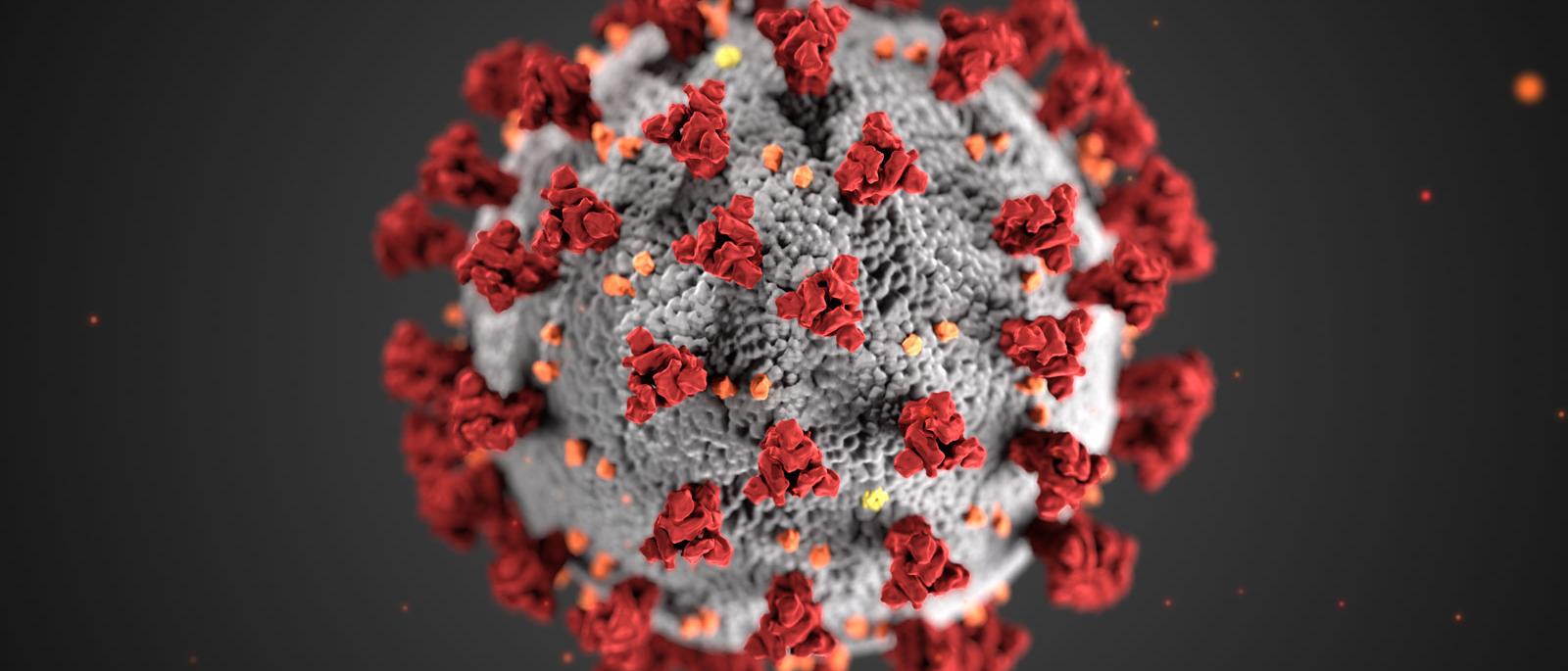 A picture of the COVID-19 virus